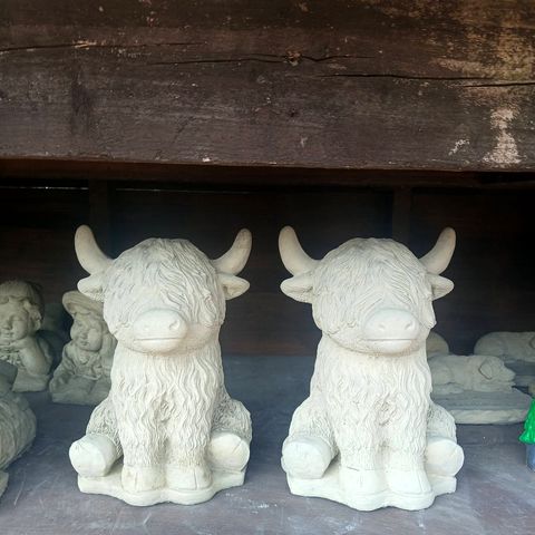Two seated Highland cow statues in natural pale concrete